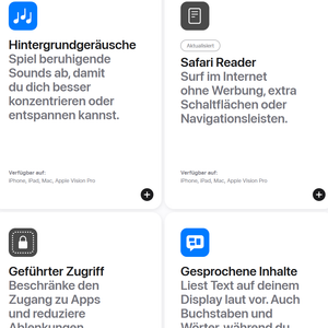 Screenshot Assistenzfunktionen iPad
